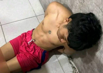 Tragedi Memilukan: Siswi SMP Diperkosa di Kebun Sawit, Pelaku Ditangkap